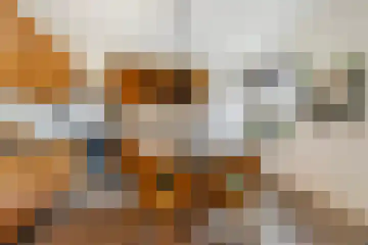 Hazzelnútstrjitte 15 Stiens thumbnail 11