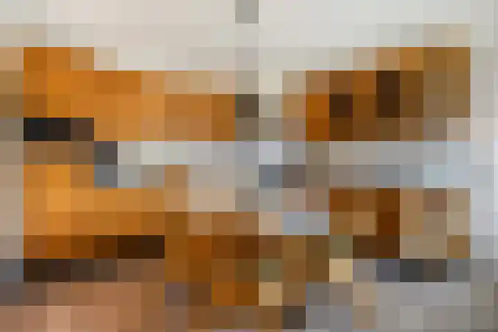 Hazzelnútstrjitte 15 Stiens thumbnail 12