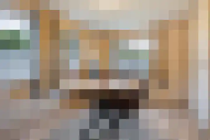 Hazzelnútstrjitte 15 Stiens thumbnail 15
