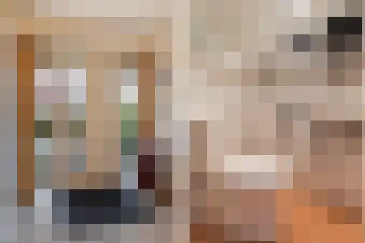 Hazzelnútstrjitte 15 Stiens thumbnail 16