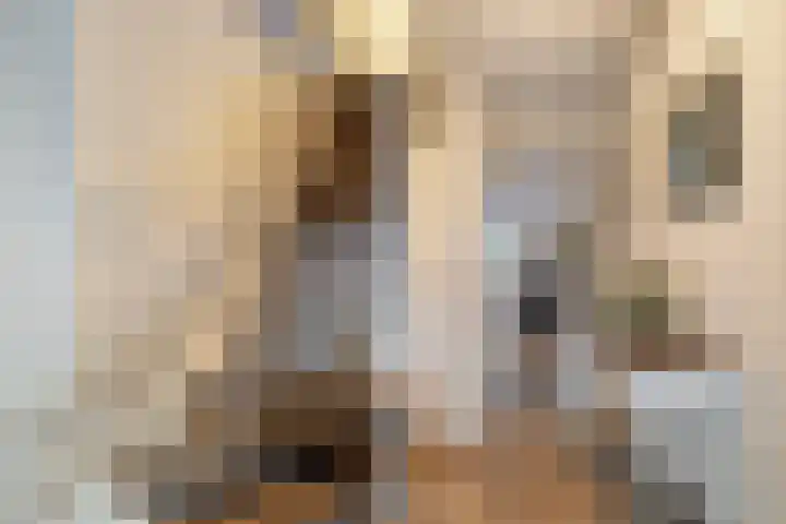 Hazzelnútstrjitte 15 Stiens thumbnail 17
