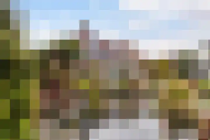Hazzelnútstrjitte 15 Stiens foto 2