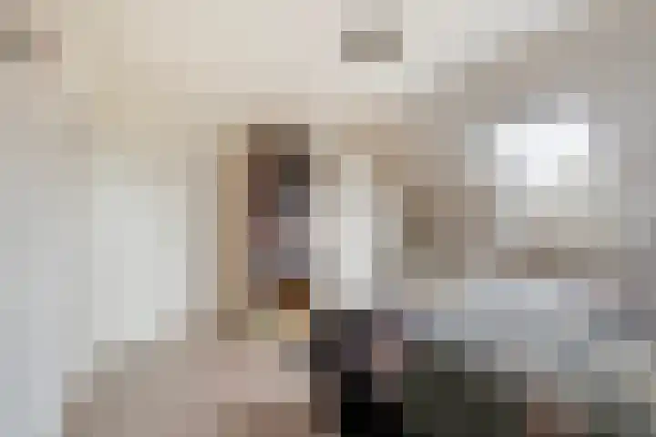 Hazzelnútstrjitte 15 Stiens thumbnail 21