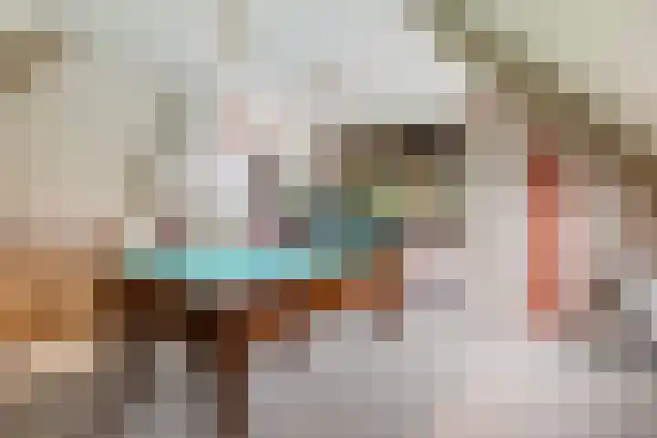 Hazzelnútstrjitte 15 Stiens thumbnail 23