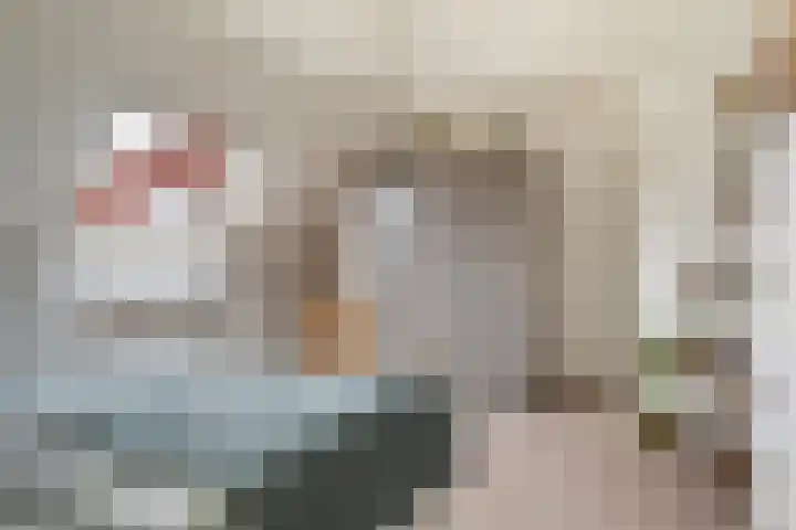 Hazzelnútstrjitte 15 Stiens thumbnail 25