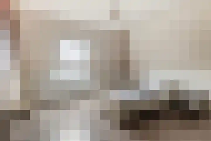 Hazzelnútstrjitte 15 Stiens thumbnail 26