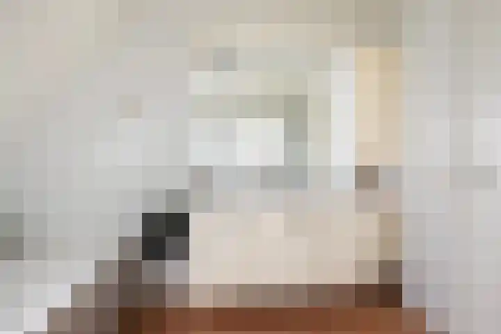 Hazzelnútstrjitte 15 Stiens thumbnail 28