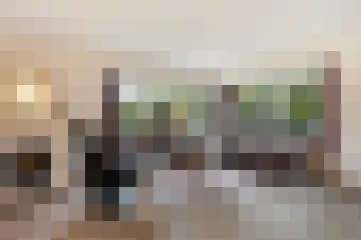 Hazzelnútstrjitte 15 Stiens foto 3