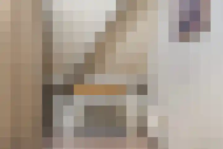 Hazzelnútstrjitte 15 Stiens thumbnail 30