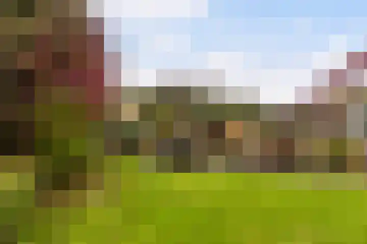 Hazzelnútstrjitte 15 Stiens thumbnail 32