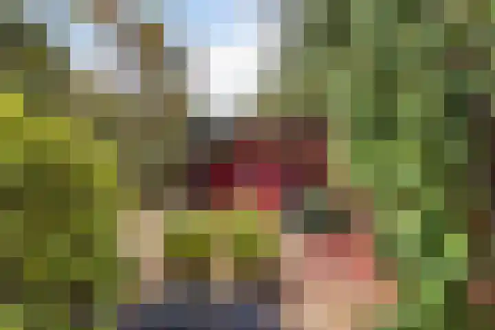 Hazzelnútstrjitte 15 Stiens thumbnail 33