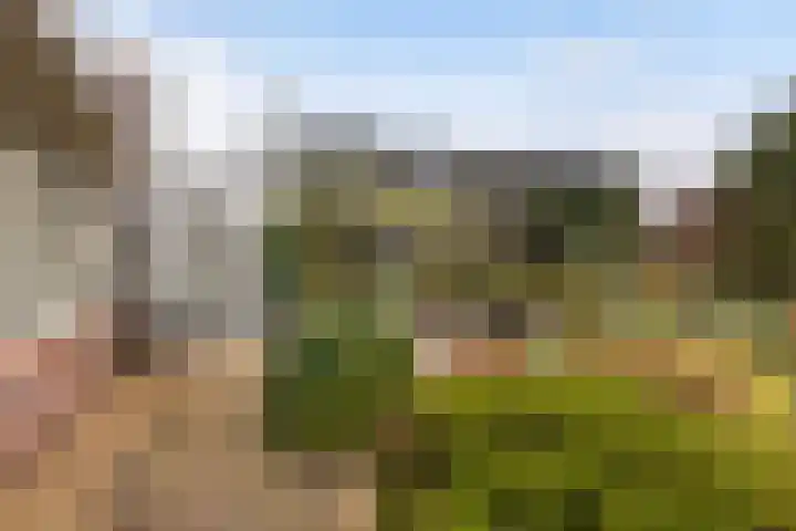 Hazzelnútstrjitte 15 Stiens thumbnail 34