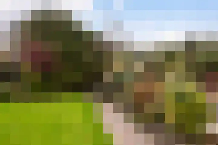 Hazzelnútstrjitte 15 Stiens thumbnail 35