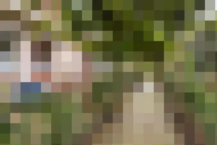 Hazzelnútstrjitte 15 Stiens thumbnail 36