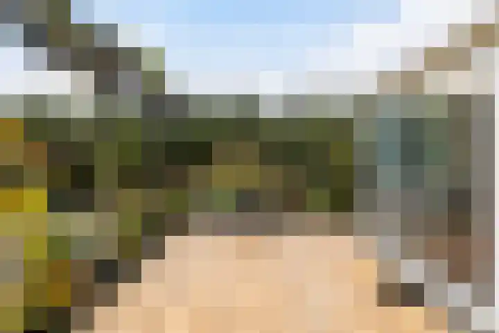Hazzelnútstrjitte 15 Stiens thumbnail 37