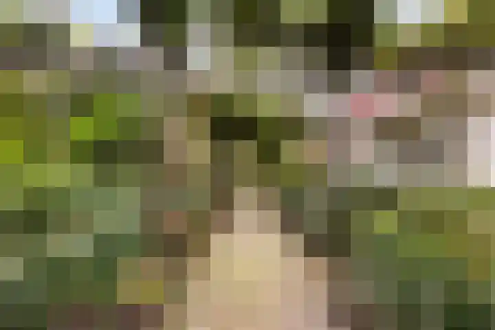 Hazzelnútstrjitte 15 Stiens thumbnail 38