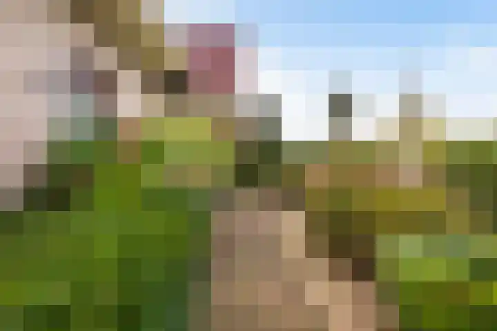 Hazzelnútstrjitte 15 Stiens thumbnail 39
