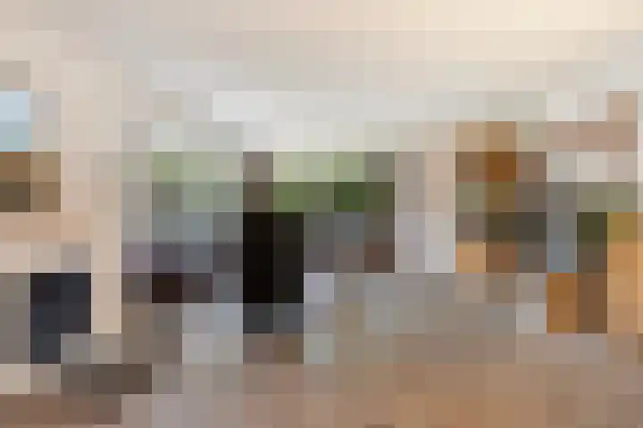 Hazzelnútstrjitte 15 Stiens thumbnail 4