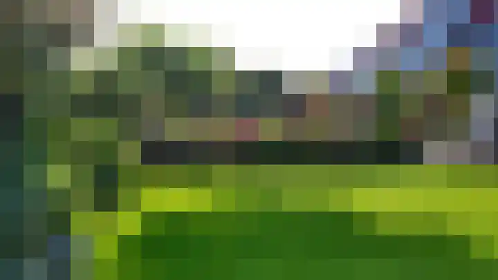 Hazzelnútstrjitte 15 Stiens thumbnail 40