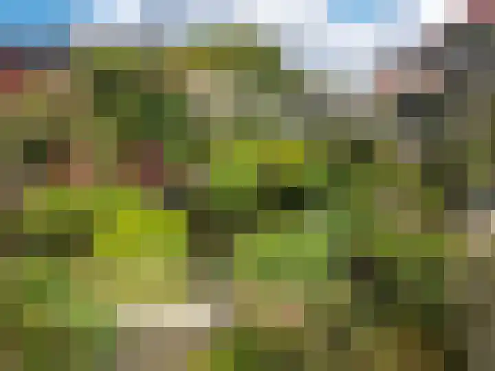 Hazzelnútstrjitte 15 Stiens thumbnail 41