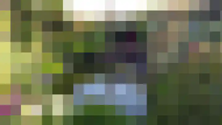Hazzelnútstrjitte 15 Stiens thumbnail 43