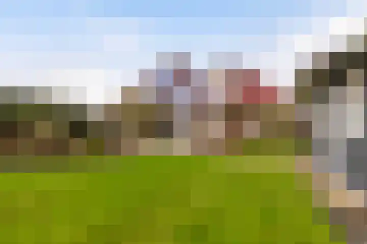 Hazzelnútstrjitte 15 Stiens thumbnail 45