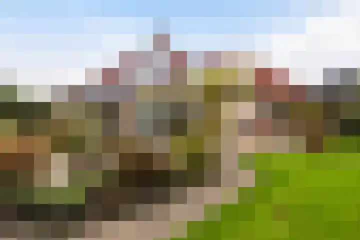 Hazzelnútstrjitte 15 Stiens thumbnail 46