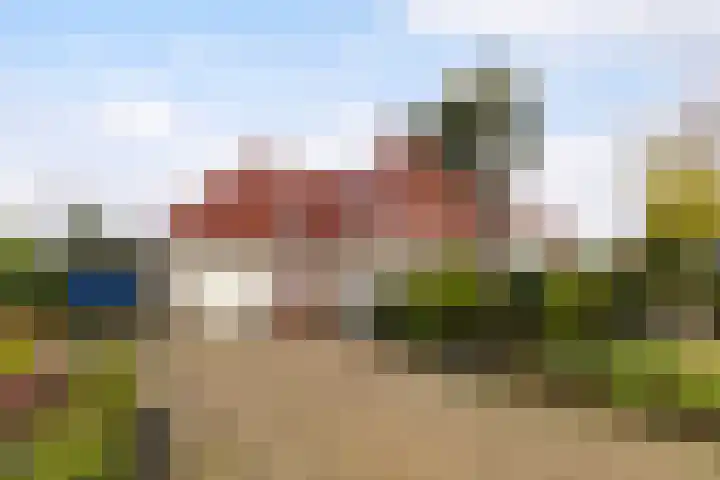 Hazzelnútstrjitte 15 Stiens thumbnail 48