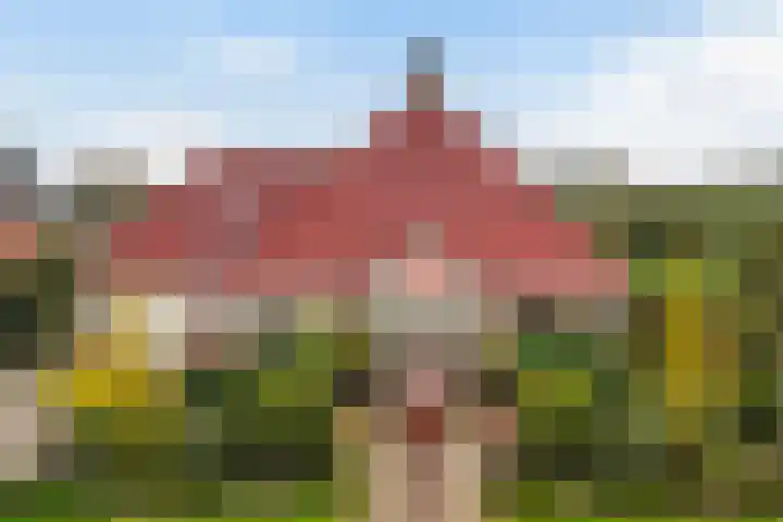 Hazzelnútstrjitte 15 Stiens thumbnail 49