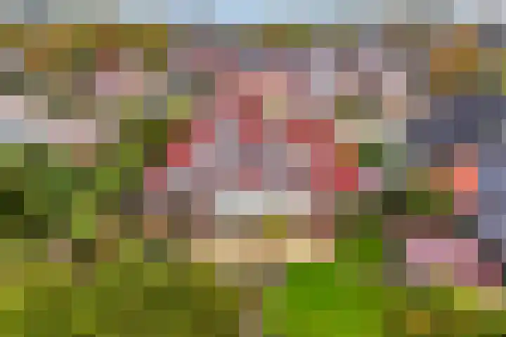 Hazzelnútstrjitte 15 Stiens thumbnail 50