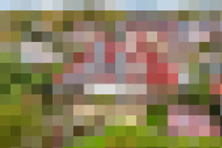 Hazzelnútstrjitte 15 Stiens thumbnail 51