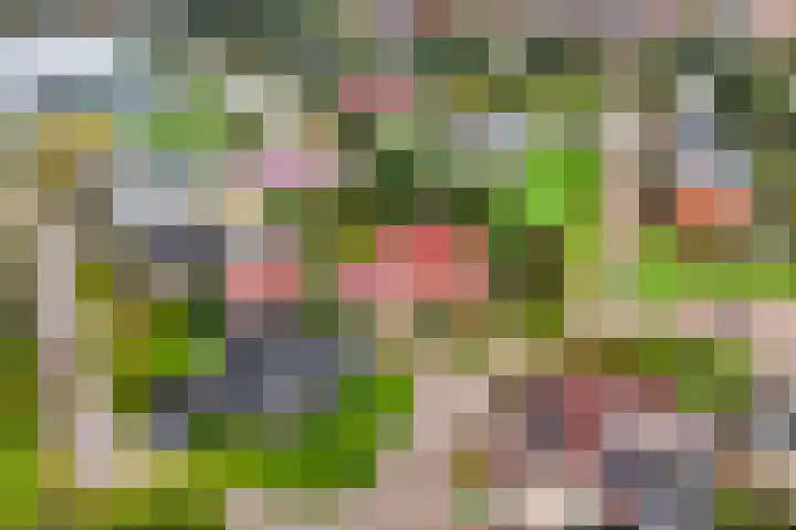 Hazzelnútstrjitte 15 Stiens thumbnail 52