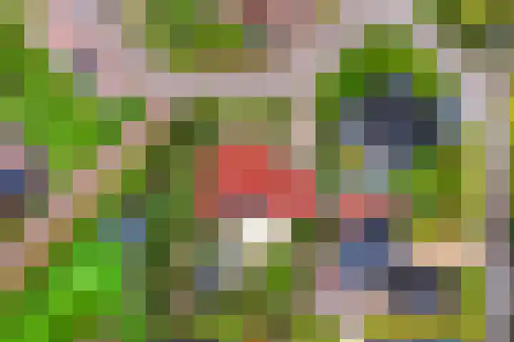 Hazzelnútstrjitte 15 Stiens thumbnail 53