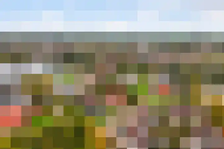 Hazzelnútstrjitte 15 Stiens thumbnail 54
