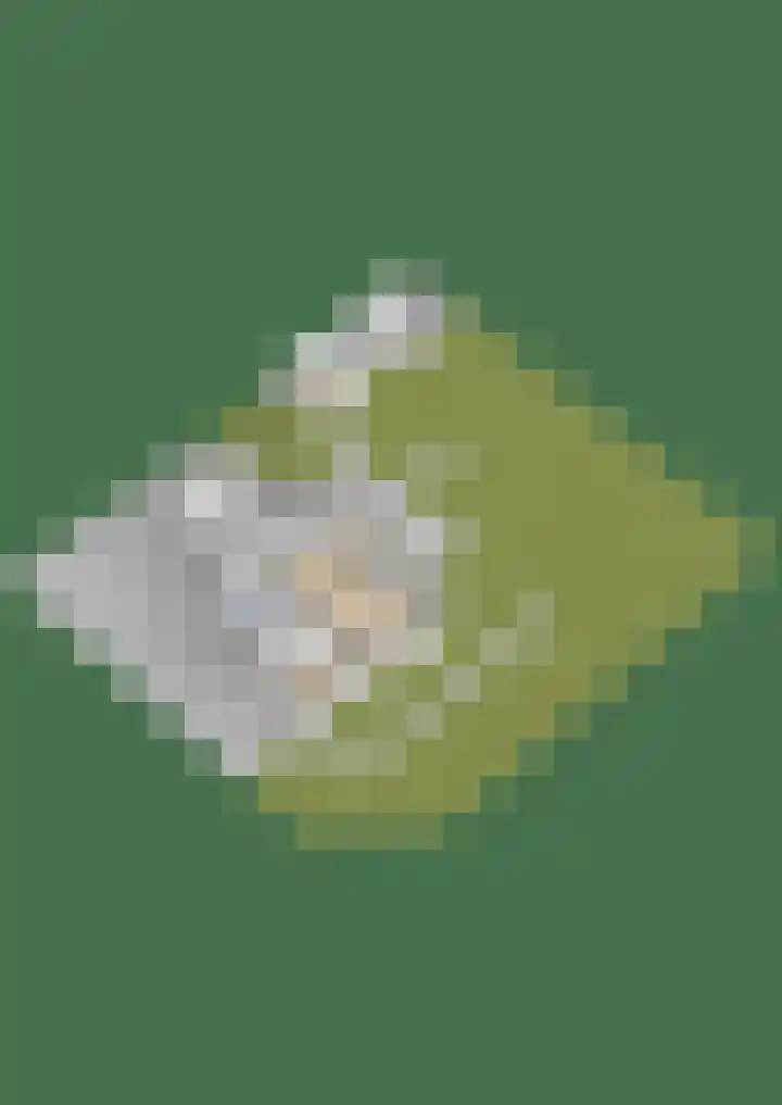 Hazzelnútstrjitte 15 Stiens thumbnail 64