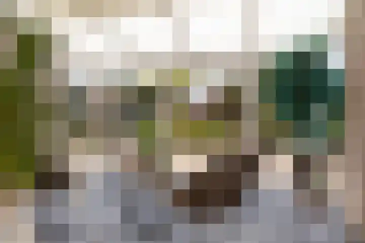 Hazzelnútstrjitte 15 Stiens thumbnail 9
