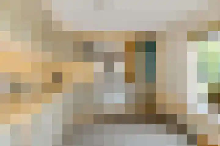 Hazzelnútstrjitte 2 Stiens thumbnail 12