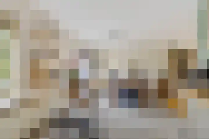 Hazzelnútstrjitte 2 Stiens thumbnail 13