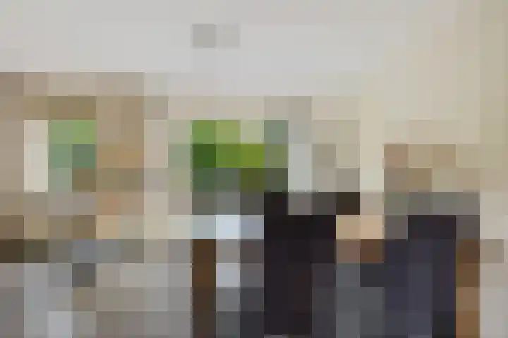 Hazzelnútstrjitte 2 Stiens thumbnail 15