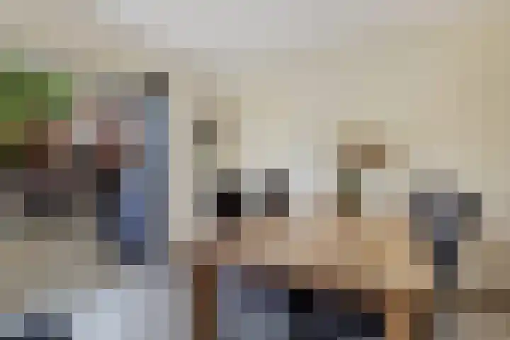 Hazzelnútstrjitte 2 Stiens thumbnail 16