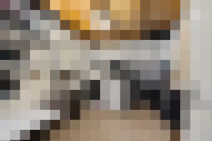 Hazzelnútstrjitte 2 Stiens thumbnail 17