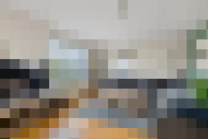 Hazzelnútstrjitte 2 Stiens foto 2