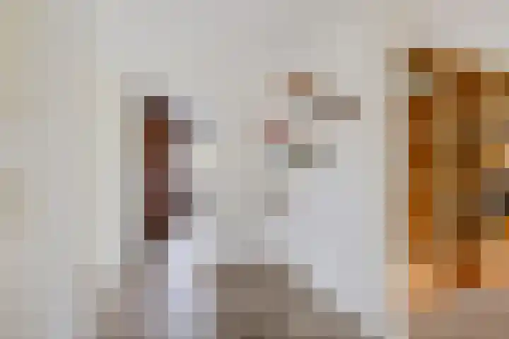 Hazzelnútstrjitte 2 Stiens thumbnail 21