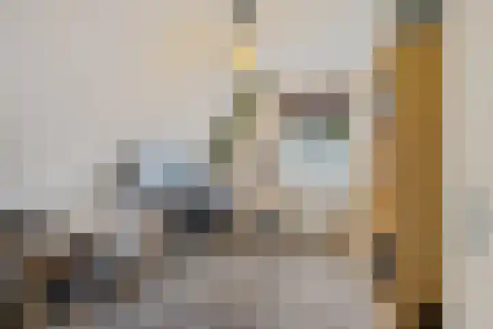 Hazzelnútstrjitte 2 Stiens thumbnail 22