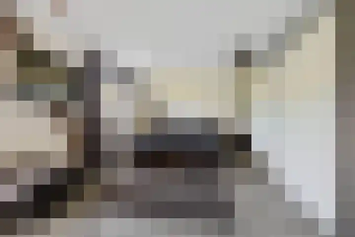 Hazzelnútstrjitte 2 Stiens thumbnail 23