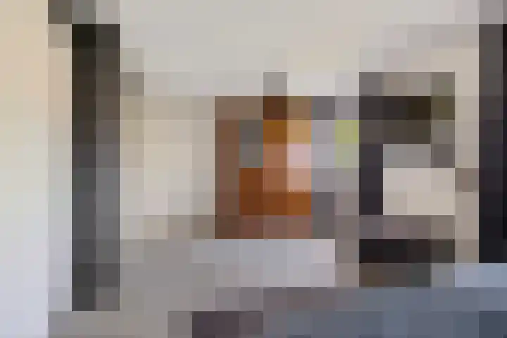 Hazzelnútstrjitte 2 Stiens thumbnail 24