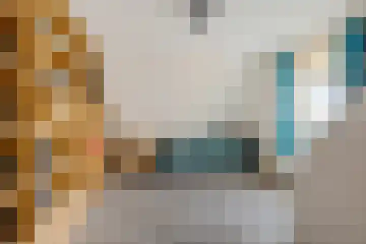 Hazzelnútstrjitte 2 Stiens thumbnail 25
