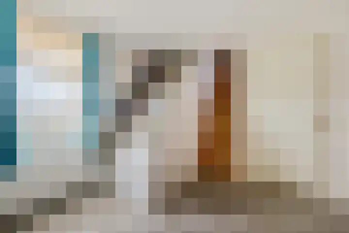 Hazzelnútstrjitte 2 Stiens thumbnail 26