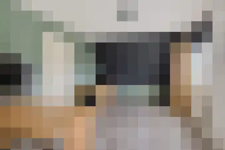 Hazzelnútstrjitte 2 Stiens thumbnail 28