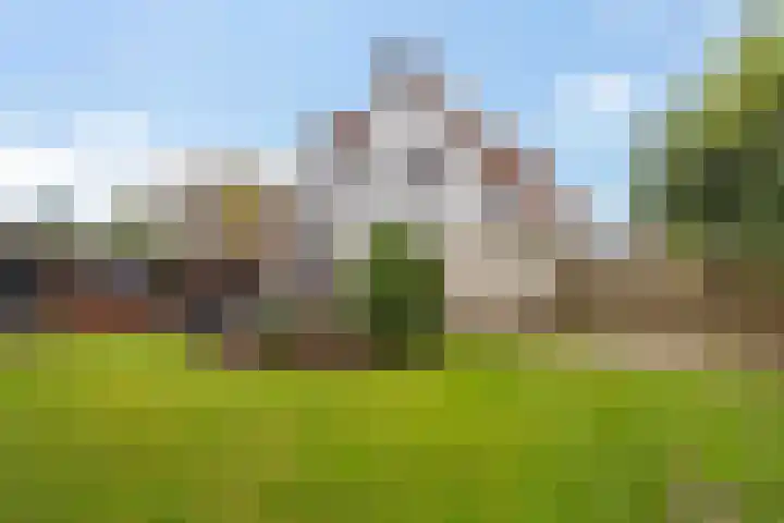 Hazzelnútstrjitte 2 Stiens foto 3